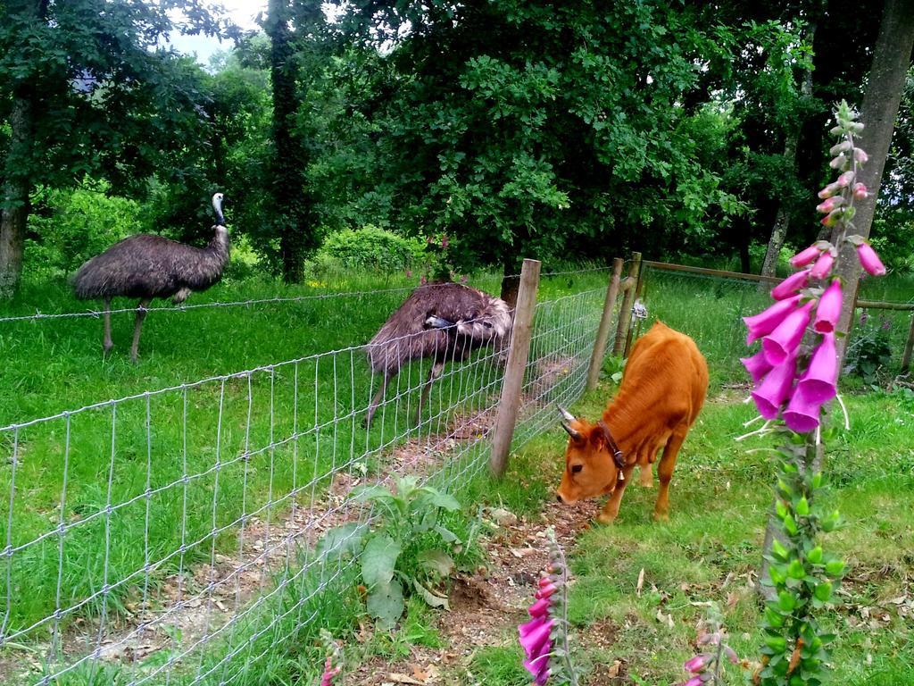 アルコス・デ・ヴァルデヴェス Quinta Da Touralヴィラ 部屋 写真