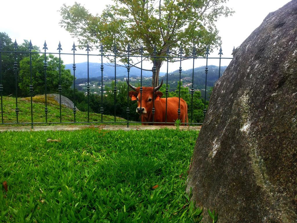 アルコス・デ・ヴァルデヴェス Quinta Da Touralヴィラ エクステリア 写真